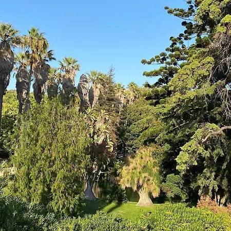 Belem Fantastic Triplex House *